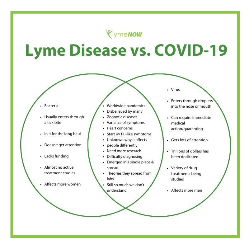 The similarities and differences between Lyme Disease and COVID-19