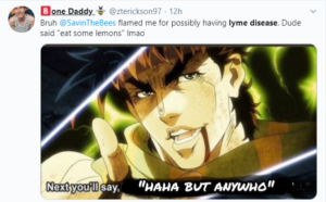 twitter meme depicting anime character disregarding Lyme disease