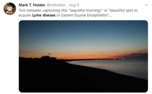tweet depicting a beautiful sunset where you could be bitten by a tick and get Lyme